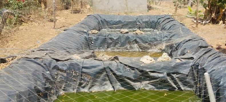 Environmental Management