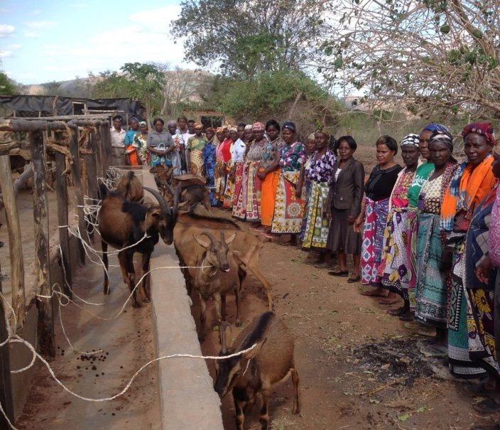 A Microcredit Project